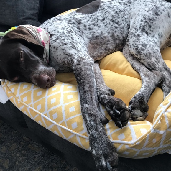 Meet your Posher, Cyn - Picture 2 of 6